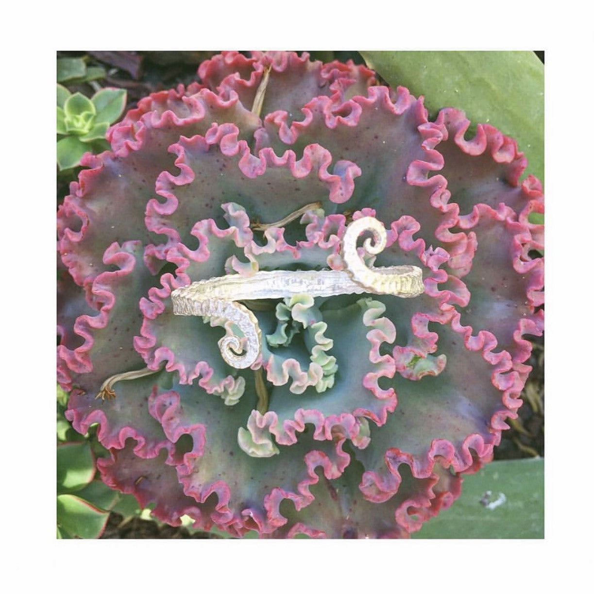 Seahorse Tail Cuff Bracelet