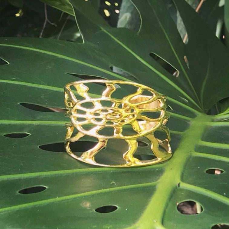 Nautilus Cuff Bracelet