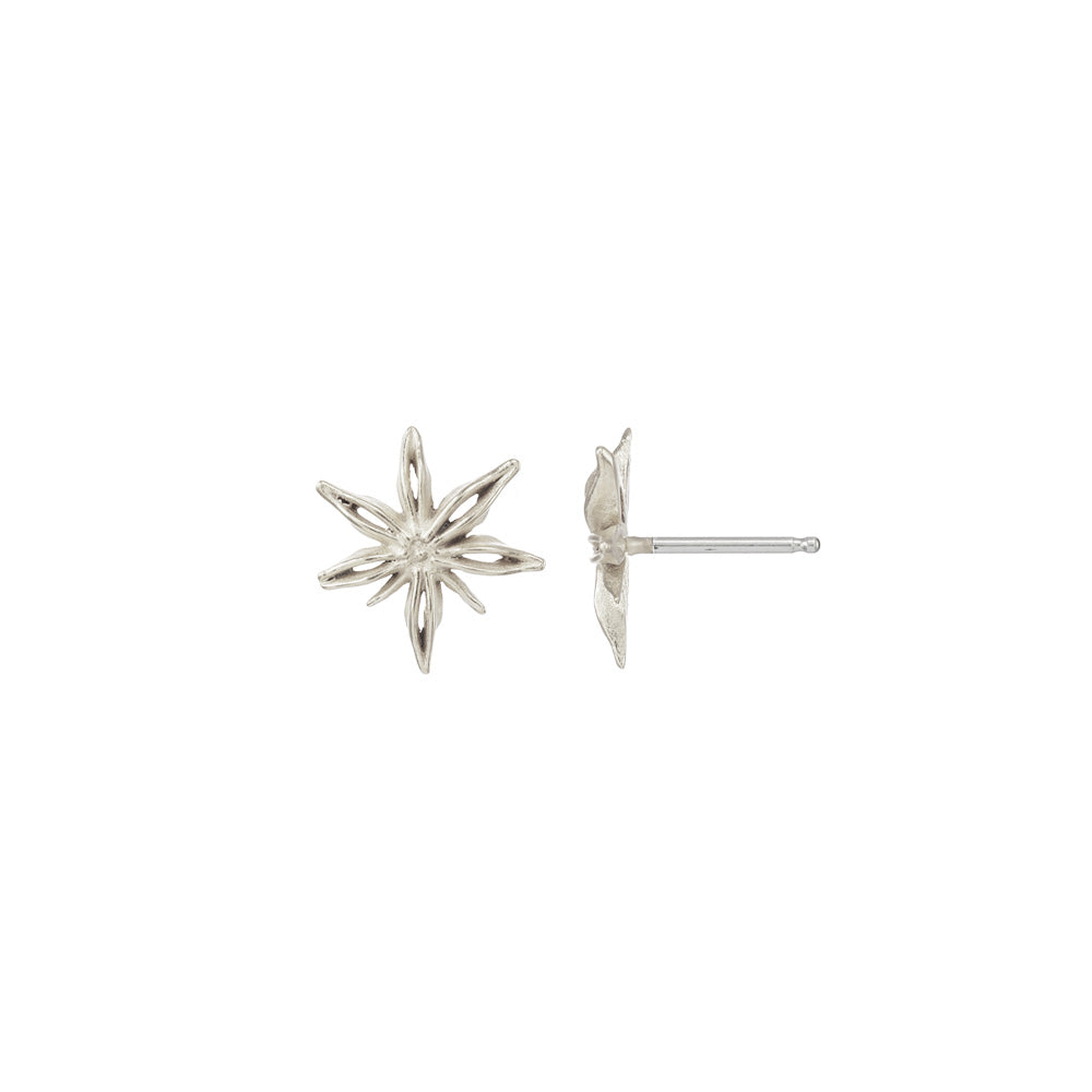 Mini Star Anise Posts