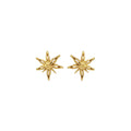 Mini Star Anise Posts