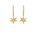 Mini Star Anise Earrings