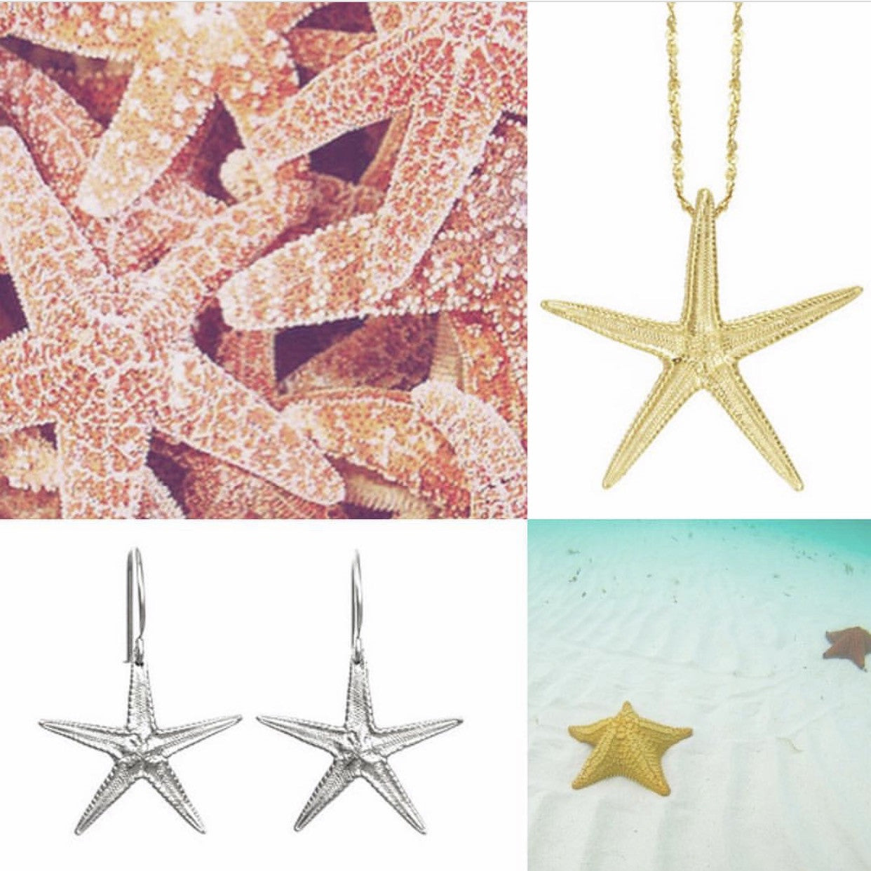 Medium Starfish Earrings