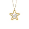 Large Star Shaker Necklace