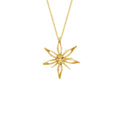 Star Anise Necklace