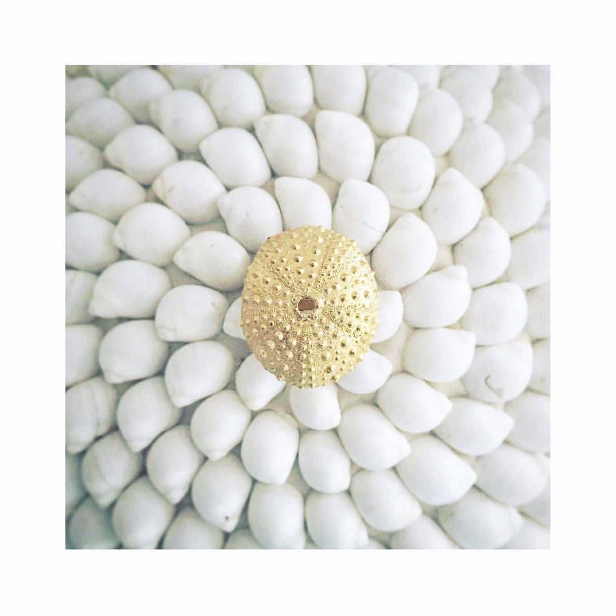 Urchin Ring