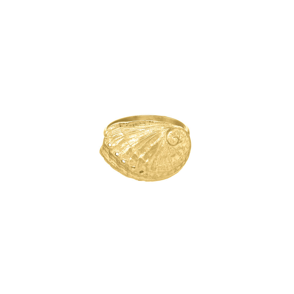 Abalone Shell Ring