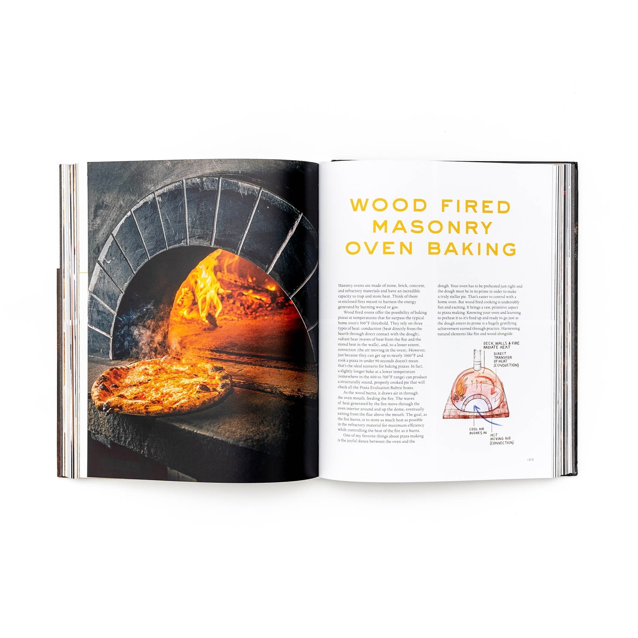 The Joy of Pizza by Dan Richer