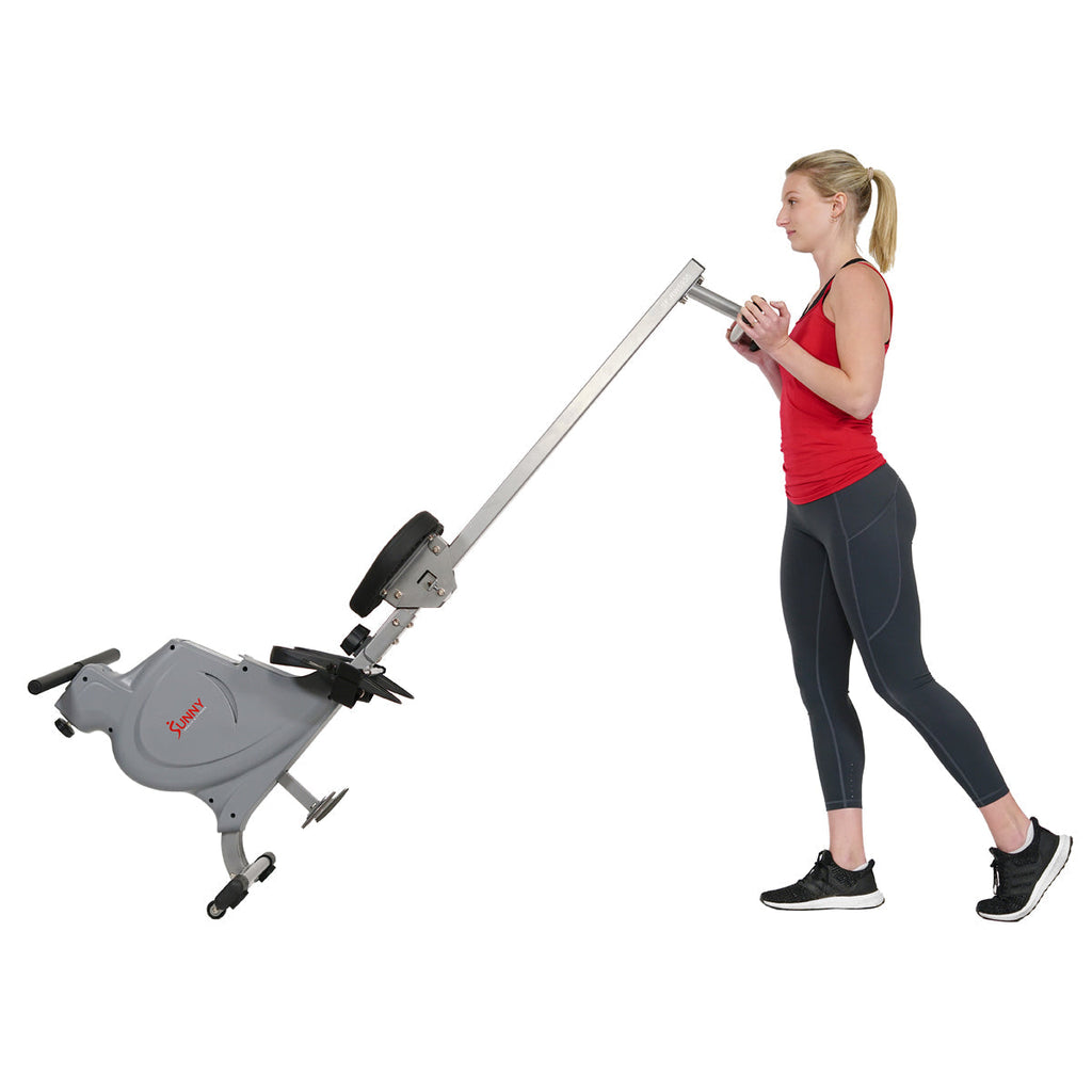 Dual Rower Rowing Machine